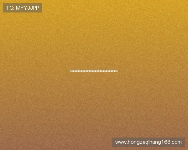 聚焦德甲联赛樊振东赛程解析新赛季关键对决看点前瞻全面走势观察